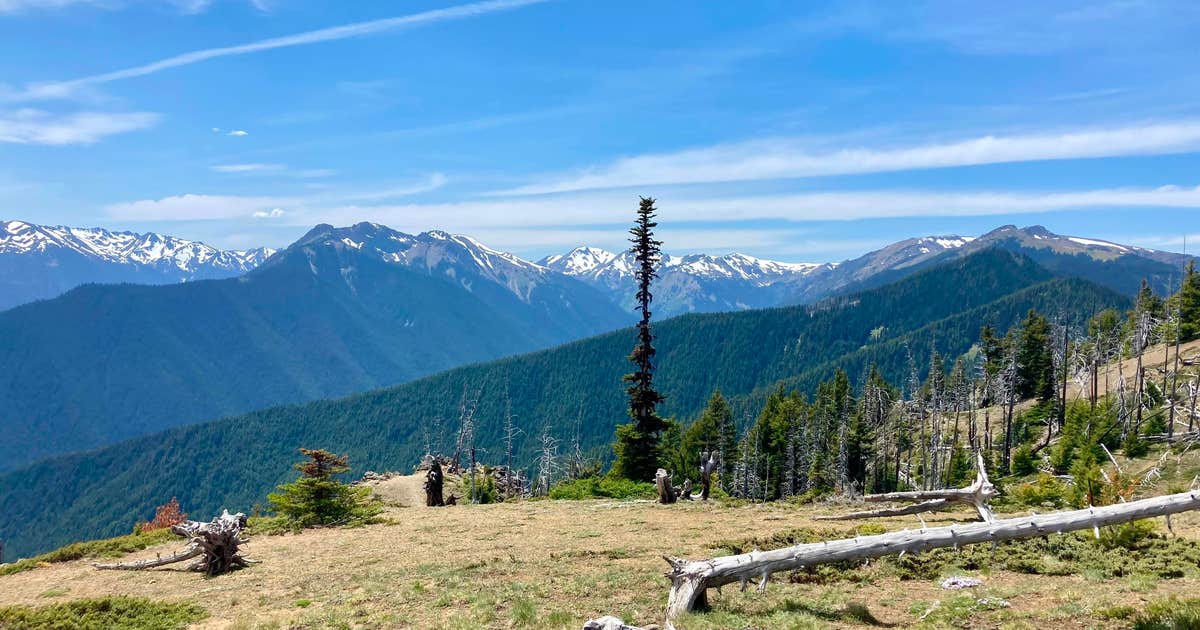 Deer Park Campground — Olympic National Park