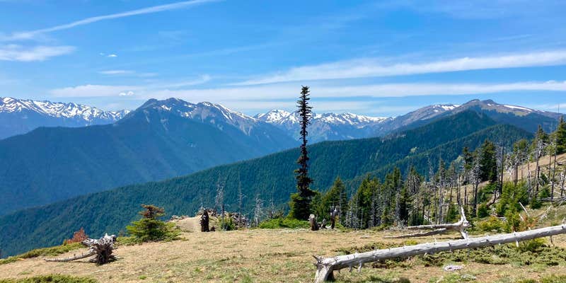 Camper submitted image from Deer Park Campground — Olympic National Park