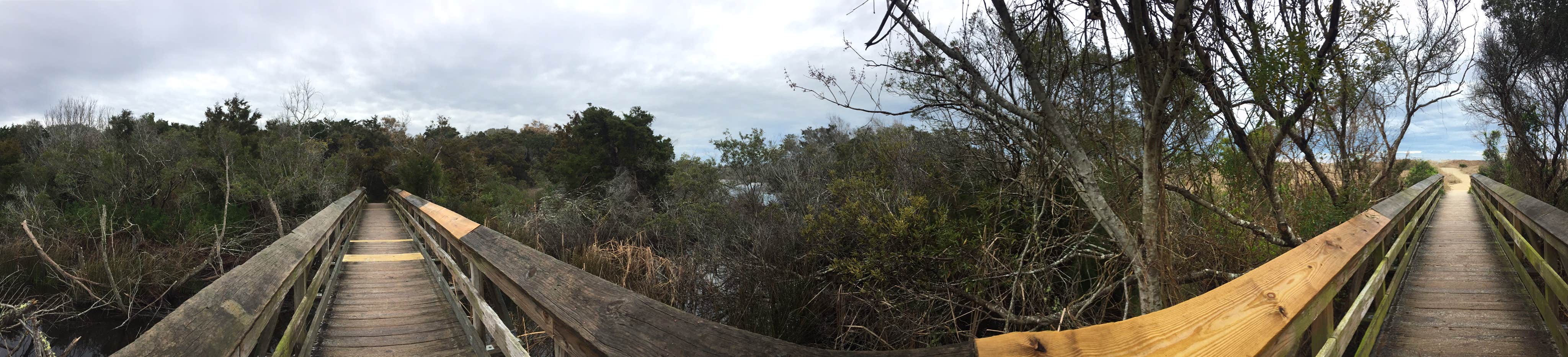 Camper-submitted photo at Huntington Beach State Park Campground in South Carolina