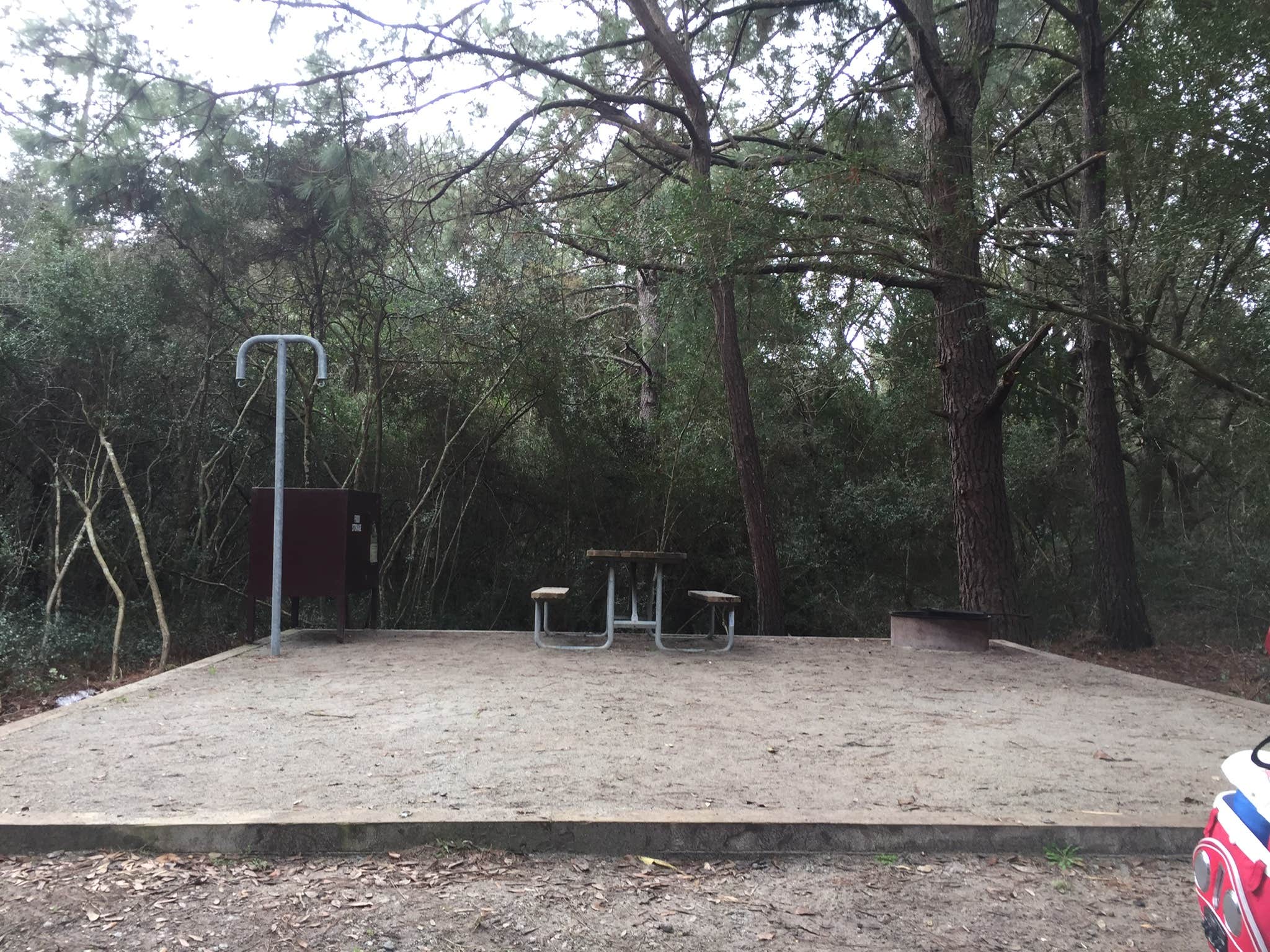Camper submitted image from Huntington Beach State Park Campground - 2