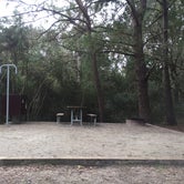 Review photo of Huntington Beach State Park Campground by Kathryn  W., March 3, 2019
