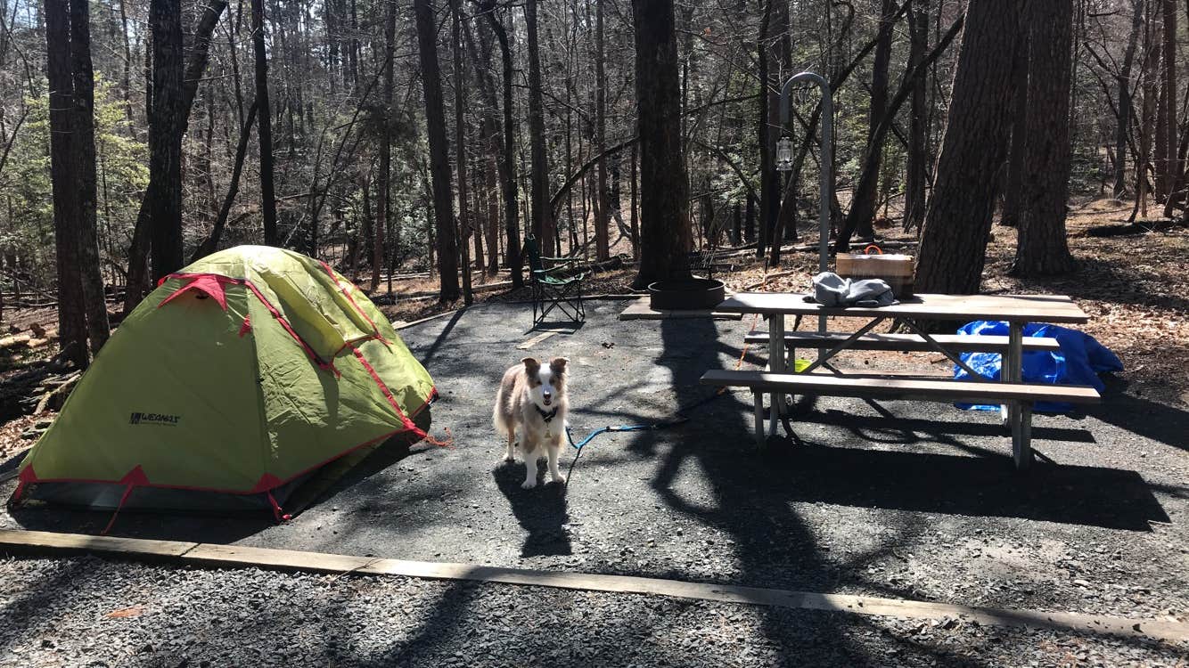 Regan A.'s photo at Morrow Mountain State Park Campground near Mount Gilead, NC