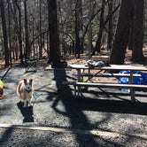 Review photo of Morrow Mountain State Park Campground by Regan A., March 3, 2019