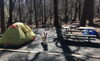 Regan A.'s photo at Morrow Mountain State Park Campground near Uwharrie National Forest