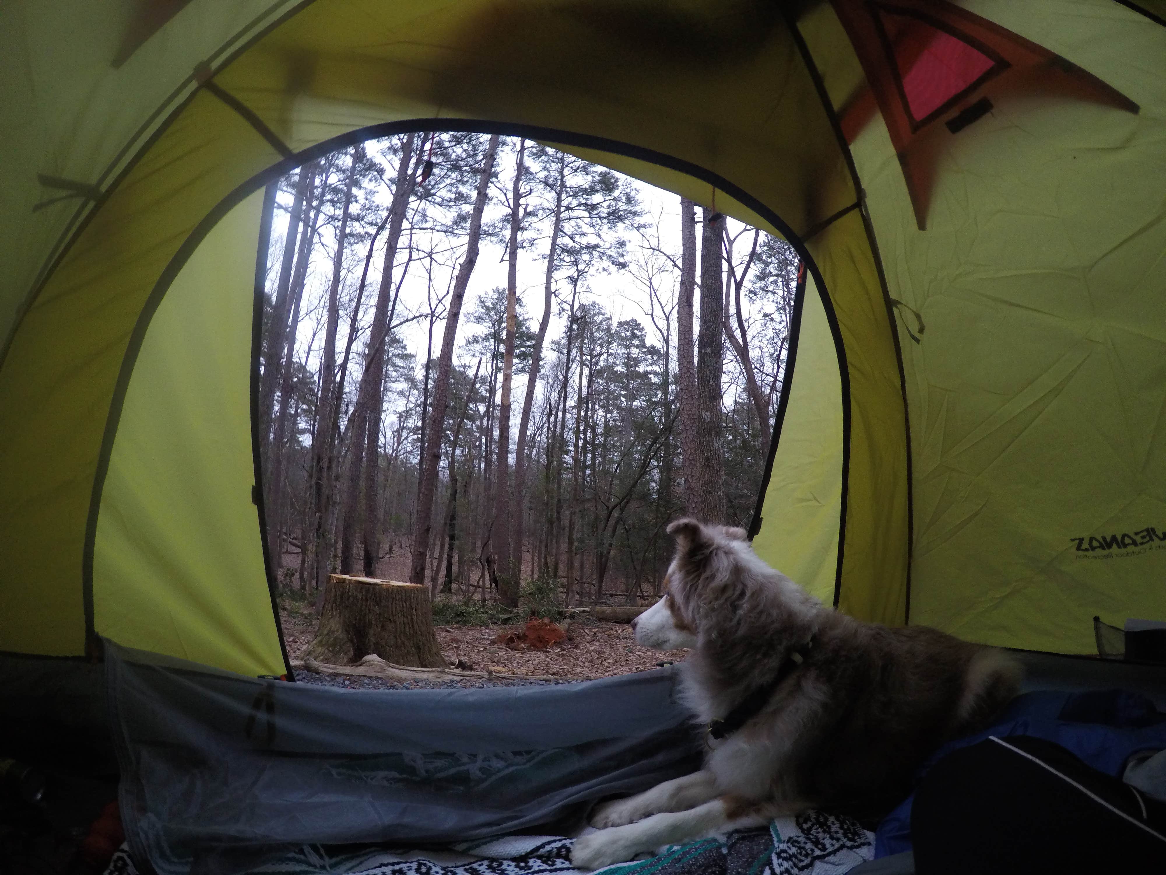 Camper submitted image from Morrow Mountain State Park Campground - 5