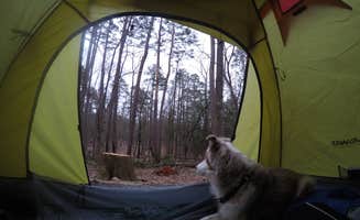 Regan A.'s photo at Morrow Mountain State Park Campground near Locust, NC