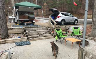 Steve V.'s photo of camping with pets at Deerlick Creek near Brierfield, AL