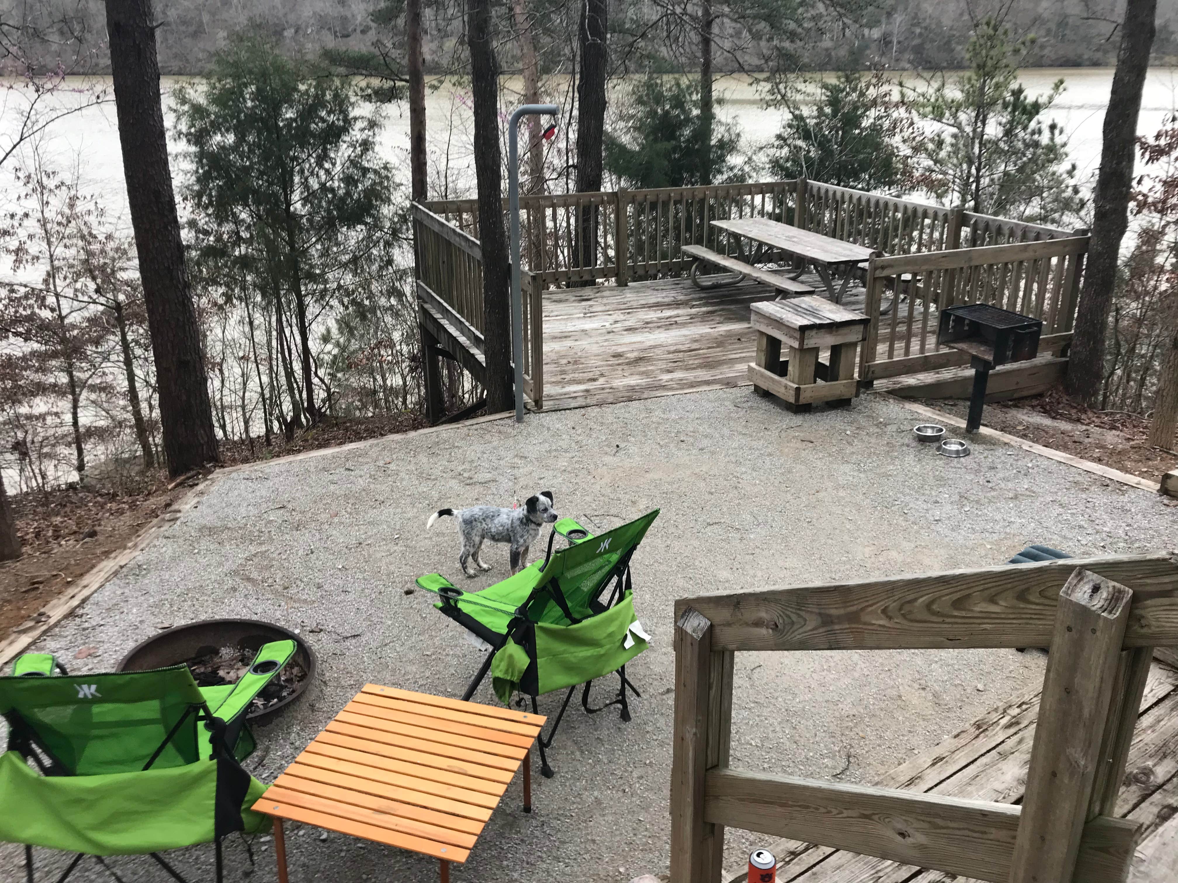 Steve V.'s photo of camping with pets at Deerlick Creek near West Blocton, AL