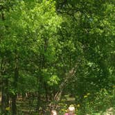 Review photo of Thousand Trails Chesapeake Bay by Mike T., August 24, 2016