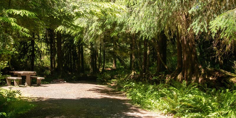 Camper submitted image from North Fork Campground — Olympic National Park