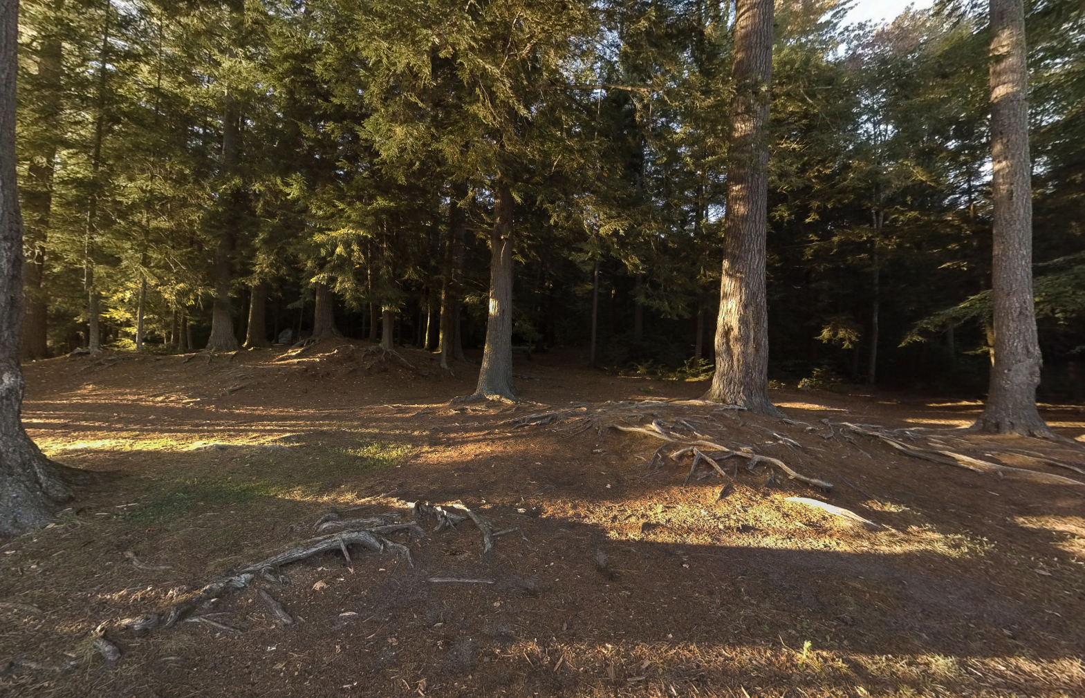 Camper-submitted photo at Middle Pond Campsite near Rainbow Lake, NY