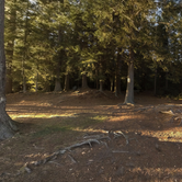 Review photo of Middle Pond Campsite by Kurt V., March 5, 2019