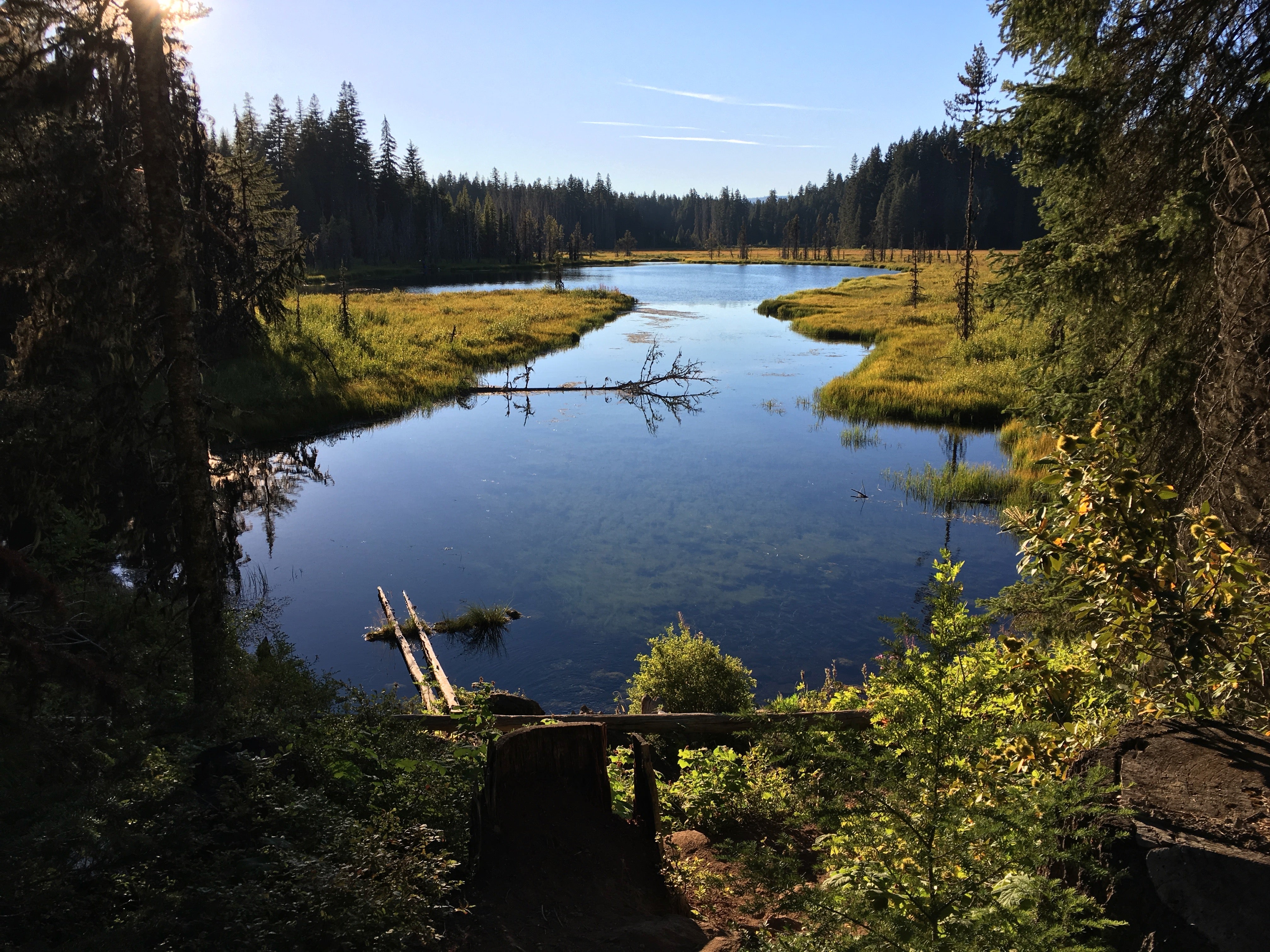 Camper submitted image from Clackamas Lake - 3