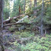 Review photo of Clackamas Lake by Guinevere H., August 24, 2016