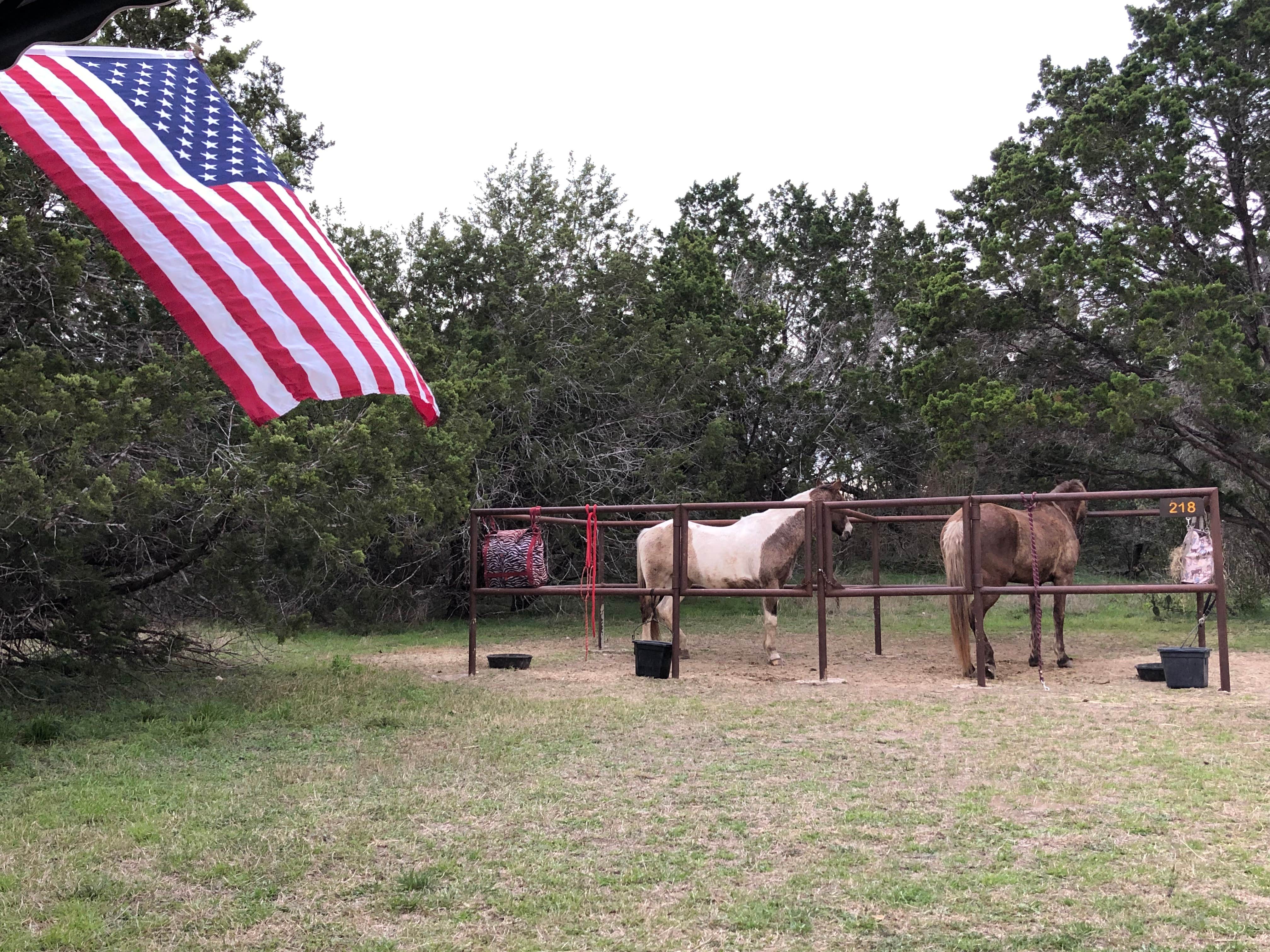 Camper-submitted photo at Trailhead Equestrian Campground — Hill Country State Natural Area near Hondo, TX