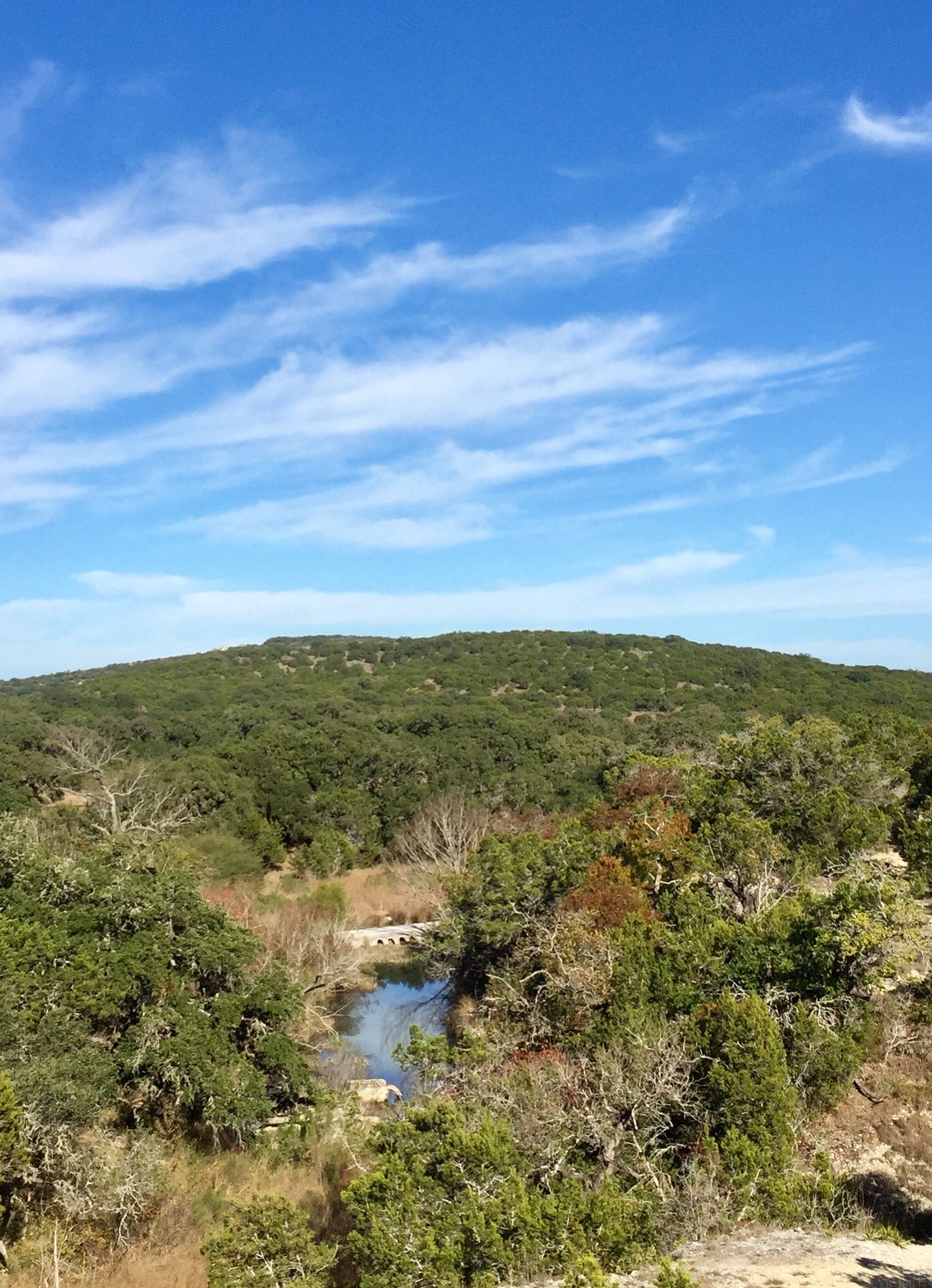 Camper submitted image from Hill Country State Natural Area - 5