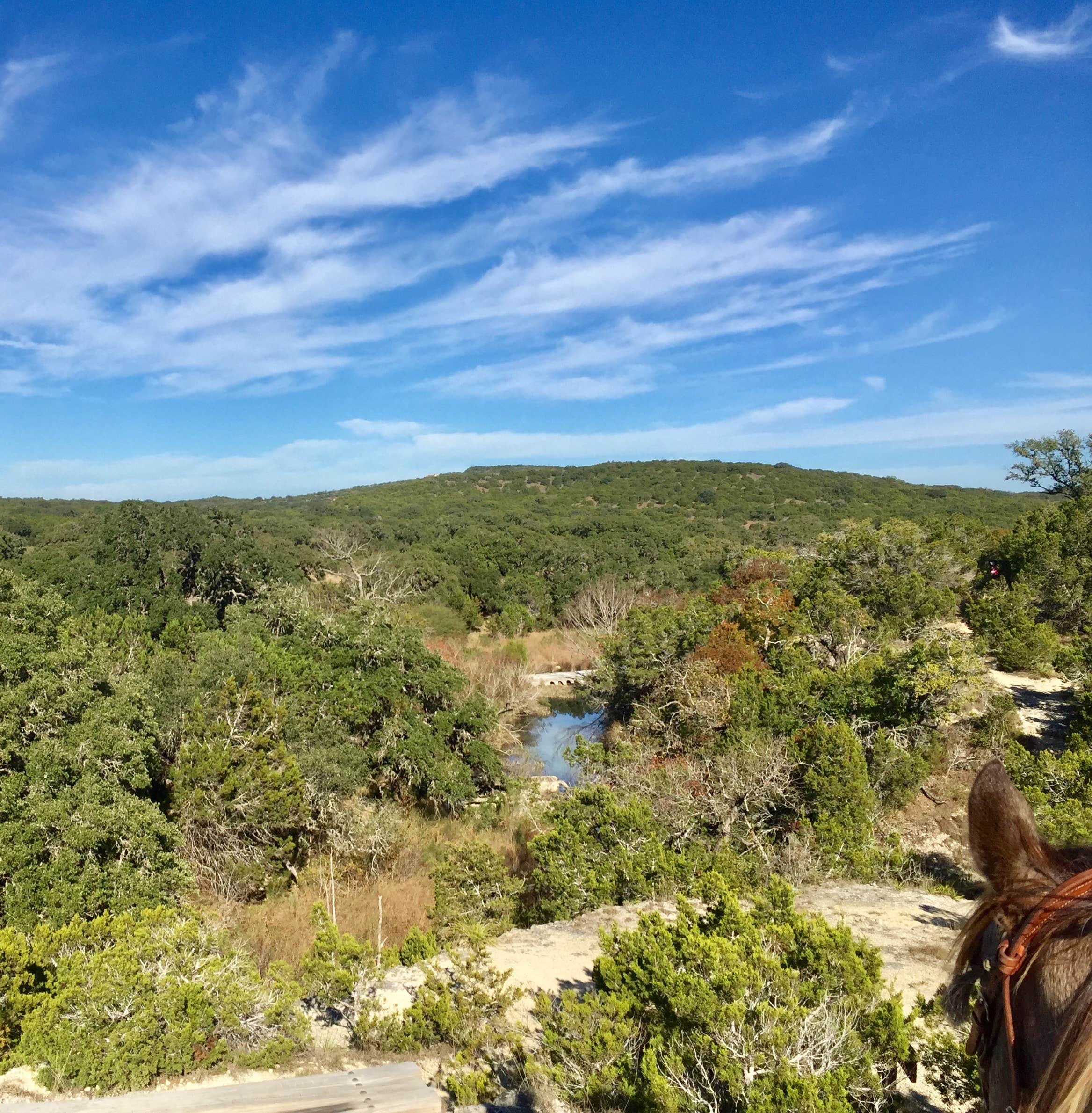 Camper-submitted photo at Trailhead Equestrian Campground — Hill Country State Natural Area near Hondo, TX