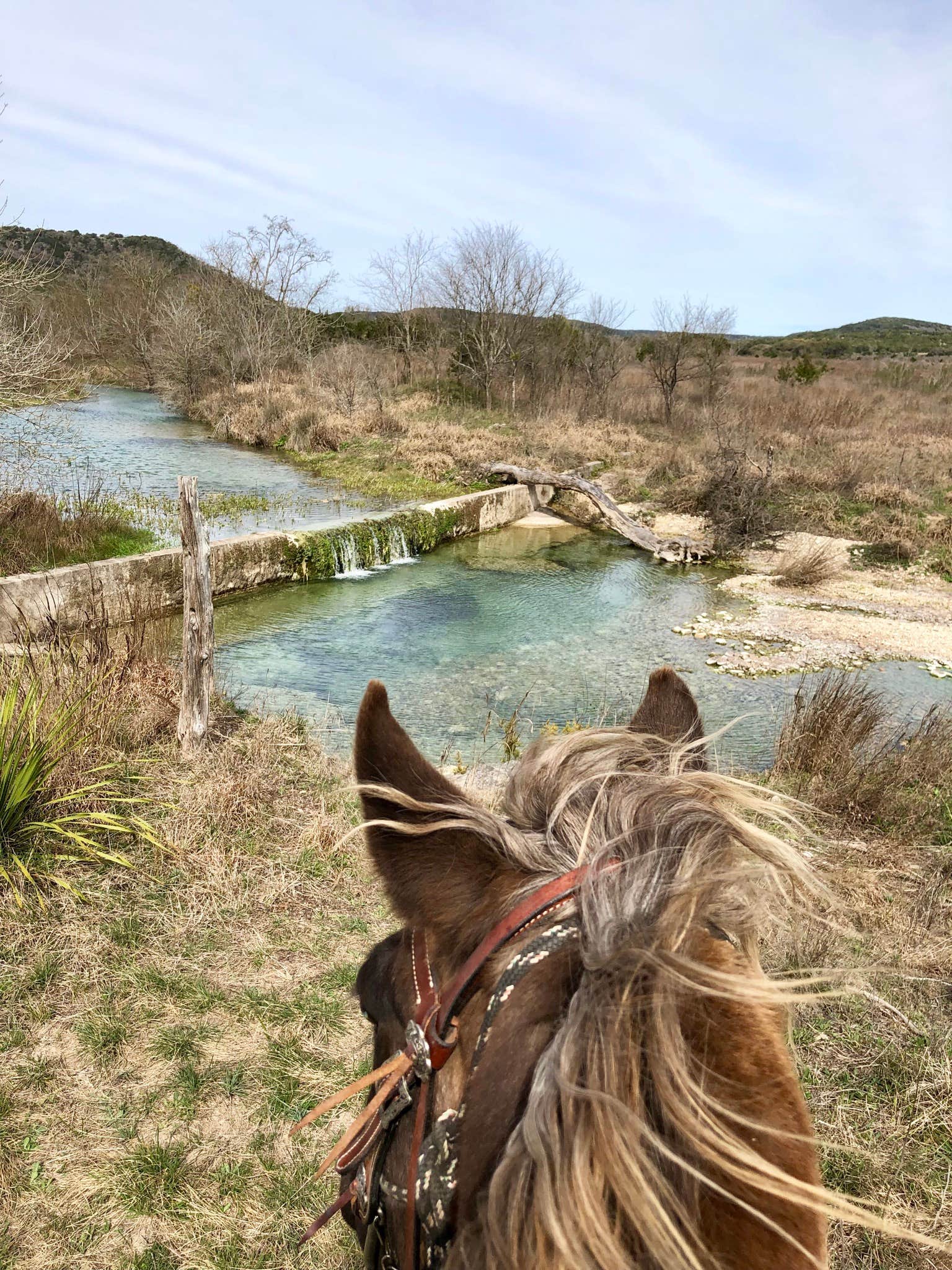 Camper-submitted photo at Trailhead Equestrian Campground — Hill Country State Natural Area near Hondo, TX