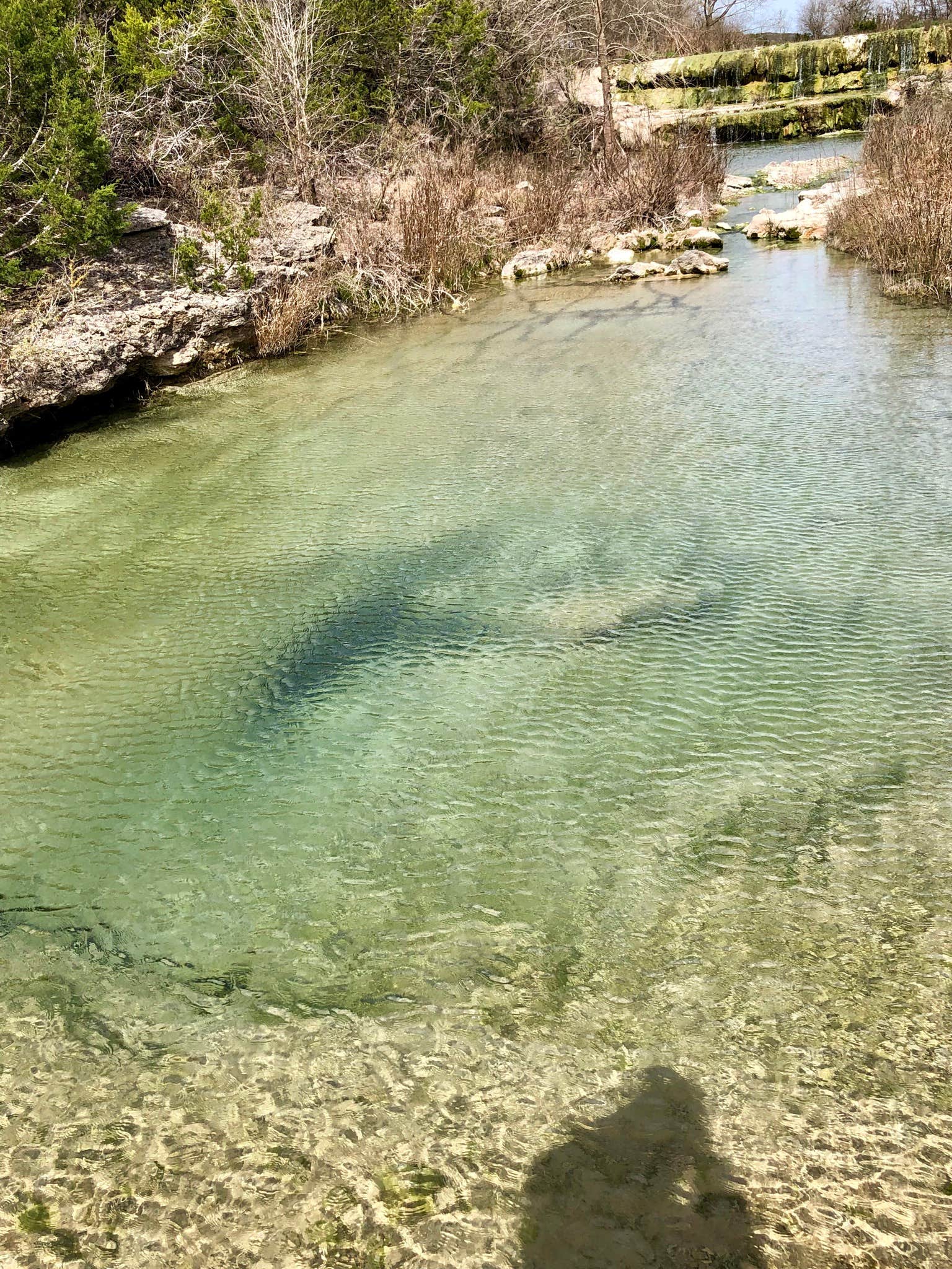 Trailhead Equestrian Campground — Hill Country State Natural Area