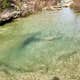 Trailhead Equestrian Campground — Hill Country State Natural Area