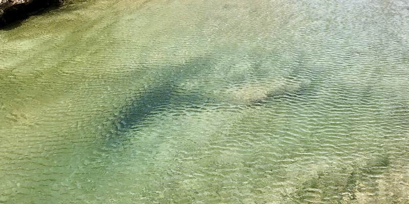 Camper submitted image from Trailhead Equestrian Campground — Hill Country State Natural Area