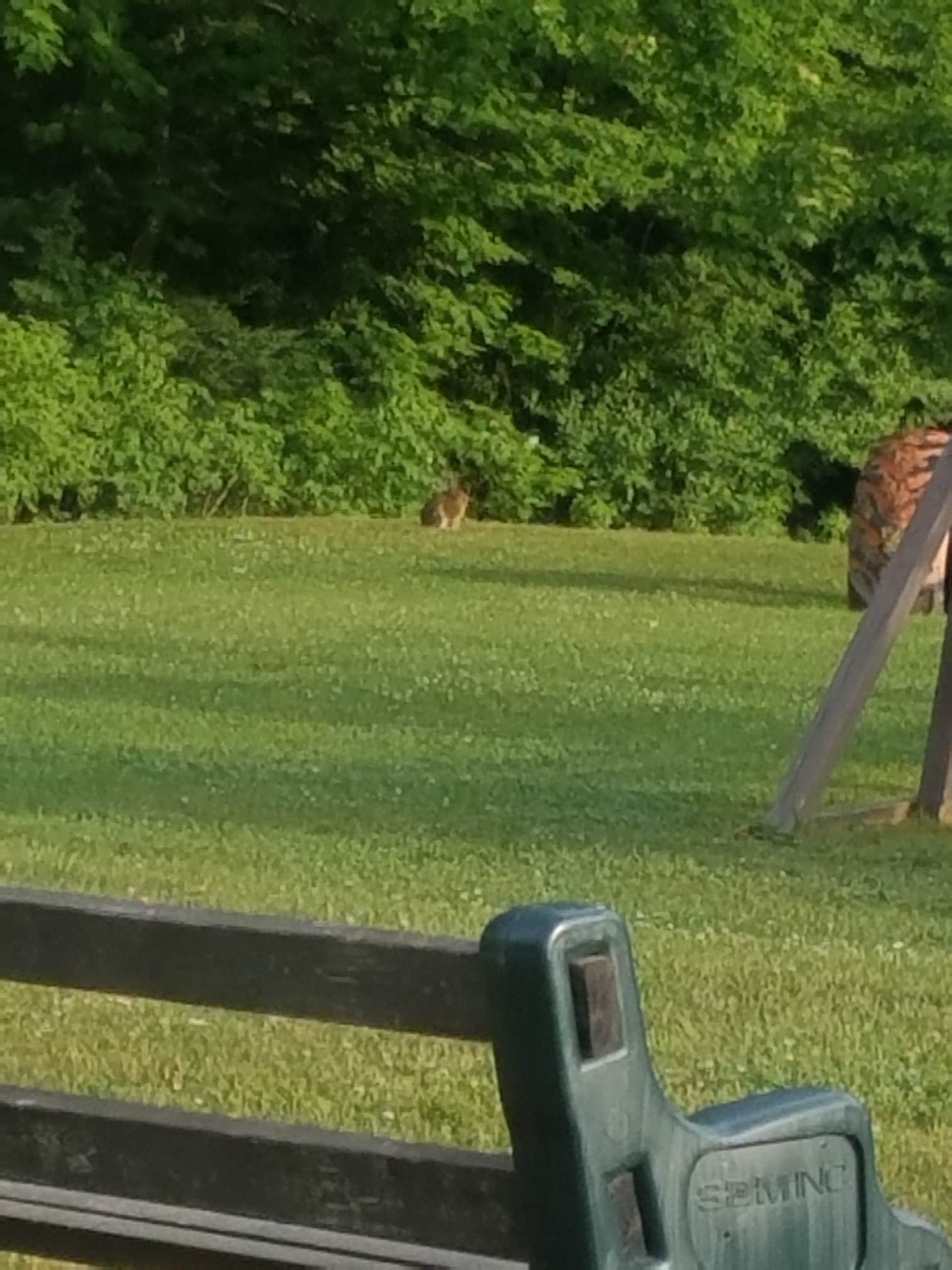 Camper-submitted photo at Crazy Horse Family Campground near Sugar Hill, NH