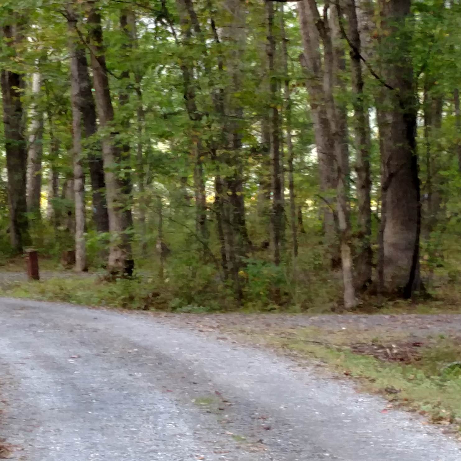 Hidden Valley Camping Warm Springs, VA