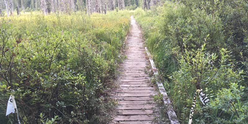 Camper submitted image from Clackamas Lake