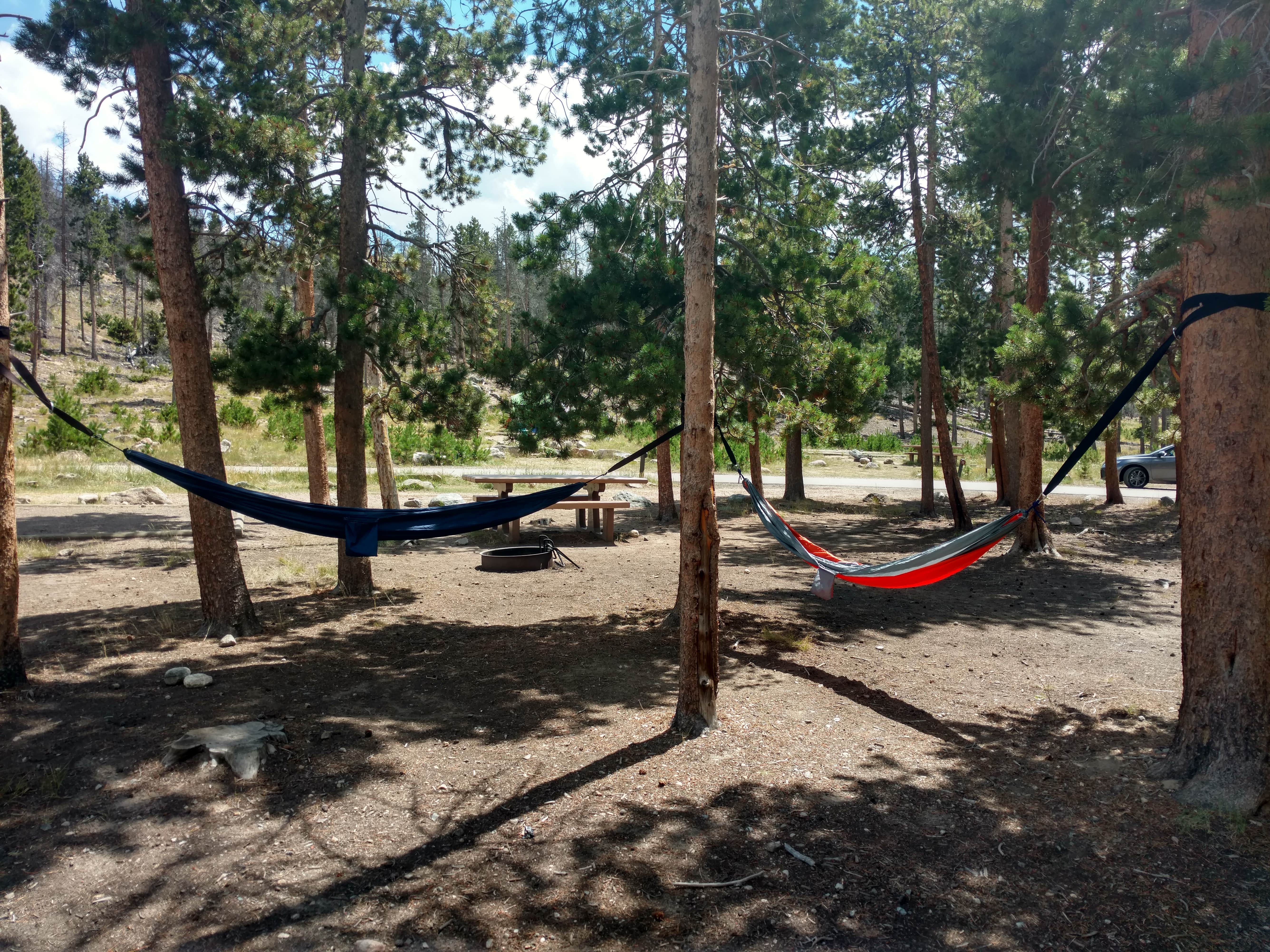 Camper submitted image from Glacier Basin Campground — Rocky Mountain National Park - 3