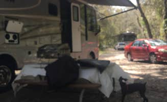 Debbie D.'s photo of camping with pets at Lithia Springs Conservation Park near Dover, FL