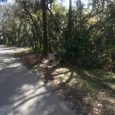 Review photo of Lithia Springs Conservation Park by Debbie D., March 7, 2019
