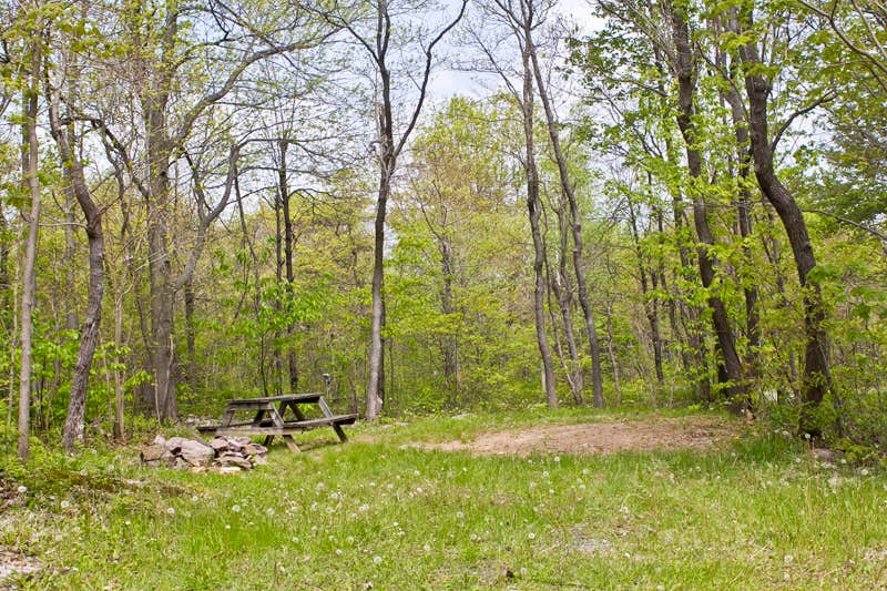 Camper-submitted photo at Peaceful Woodlands Campground near Long Pond, PA