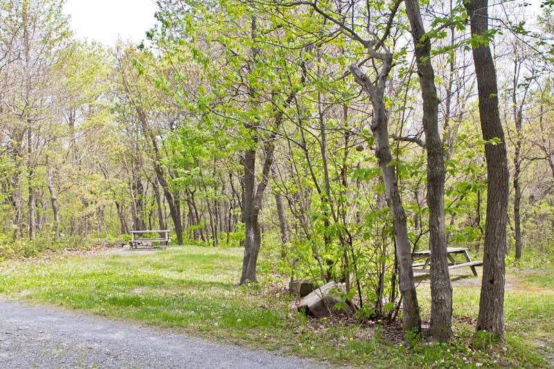 Camper-submitted photo at Peaceful Woodlands Campground near Long Pond, PA
