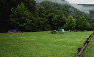 The Dyrt's photo of tent camping at Steel Creek Campground — Buffalo National River near Compton, AR