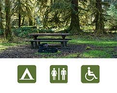 Camper-submitted photo at North Fork Campground — Olympic National Park near Quinault, WA