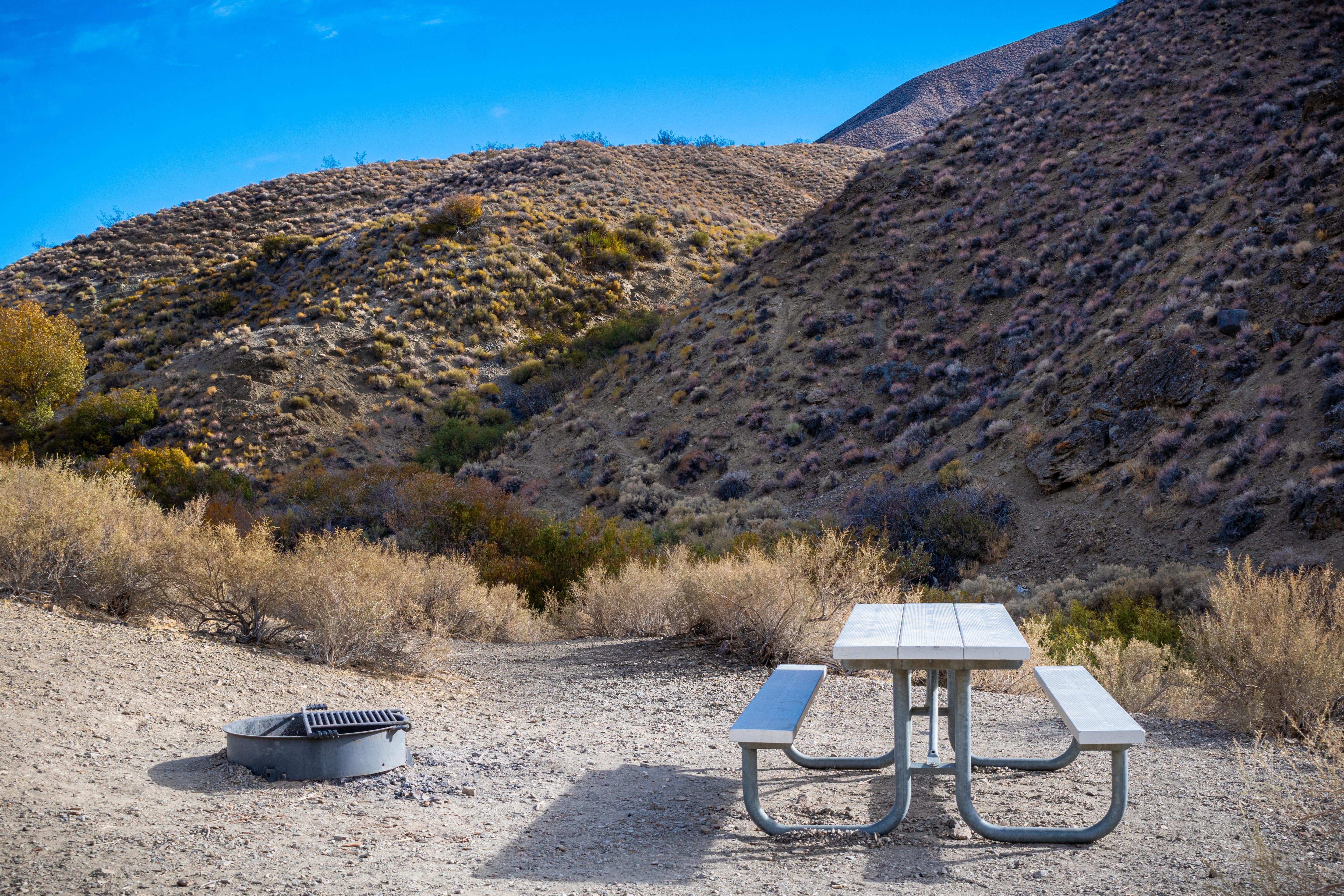 Camper submitted image from Wildrose Campground — Death Valley National Park - 2