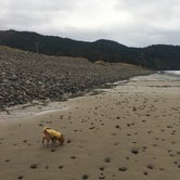 Review photo of Cape Lookout State Park Campground by Alissa H., March 8, 2019