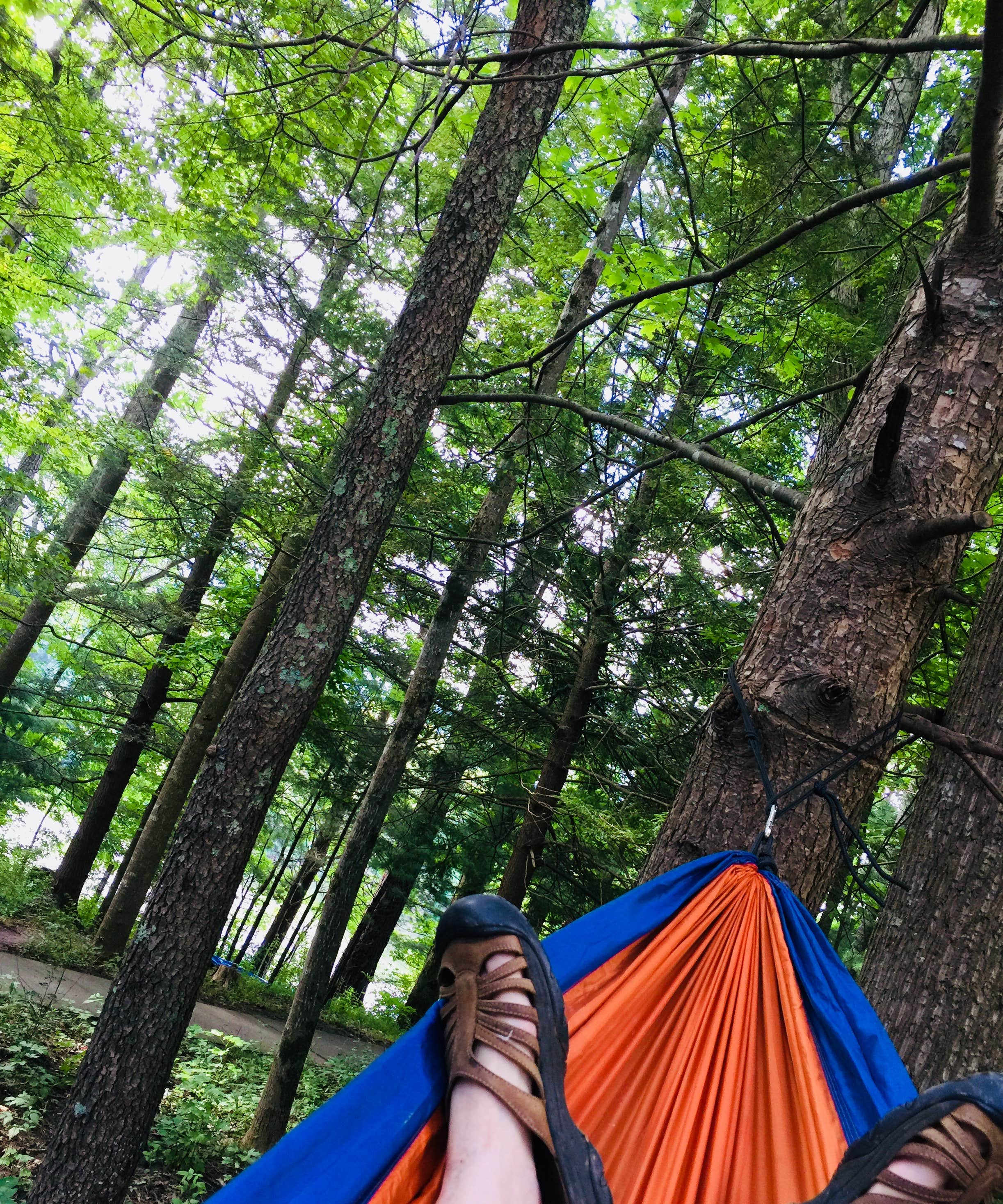 Camper submitted image from Indian Boundary - 4