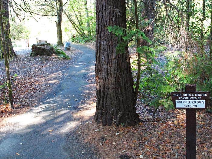 Camper submitted image from Tyee Campground (umpqua River) - 5