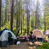 Review photo of Apgar Campground — Glacier National Park by Brandi M., March 8, 2019