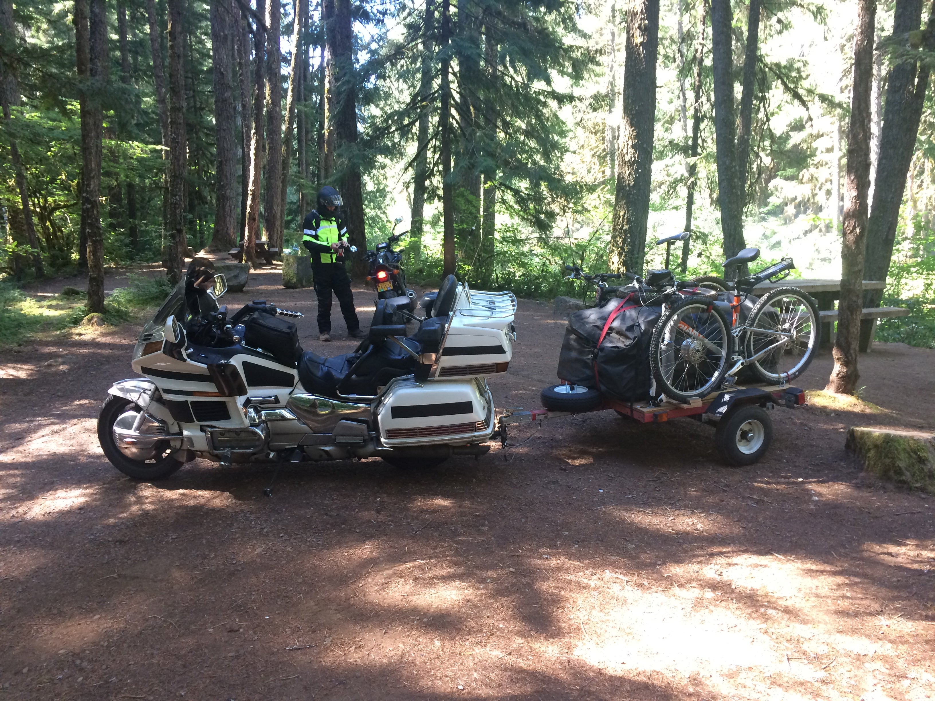 Camper submitted image from Olallie Campground - 4