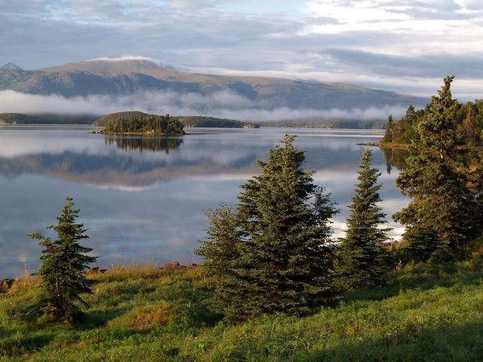 Camper submitted image from Brooks Camp Campground — Katmai Bay National Park - 2