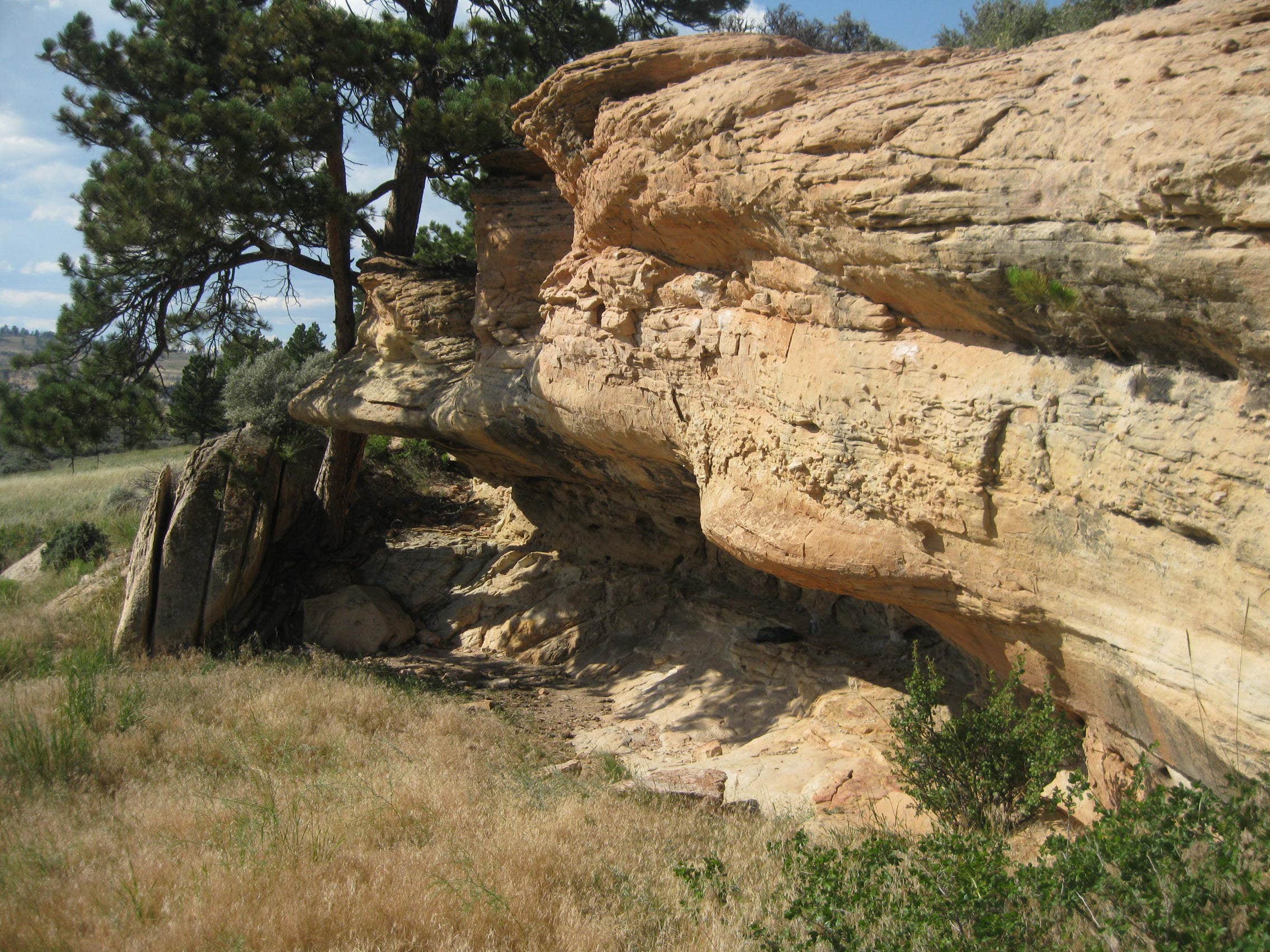 Standing next to the overhang.