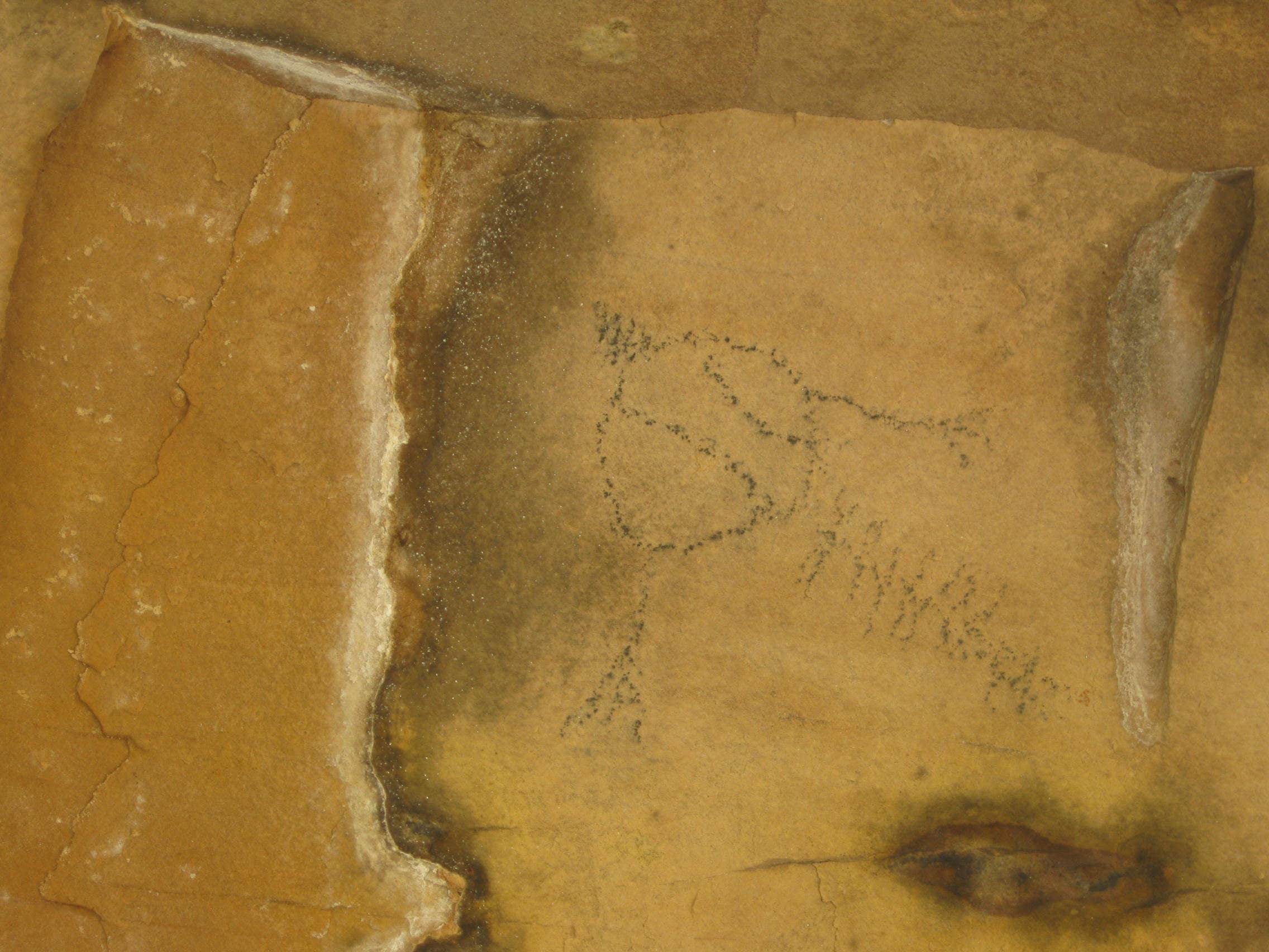 Pictograph of a turtle?
