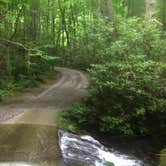 Review photo of Cades Cove Campground by Courtney T., March 11, 2019