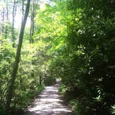 Review photo of Cades Cove Campground by Courtney T., March 11, 2019