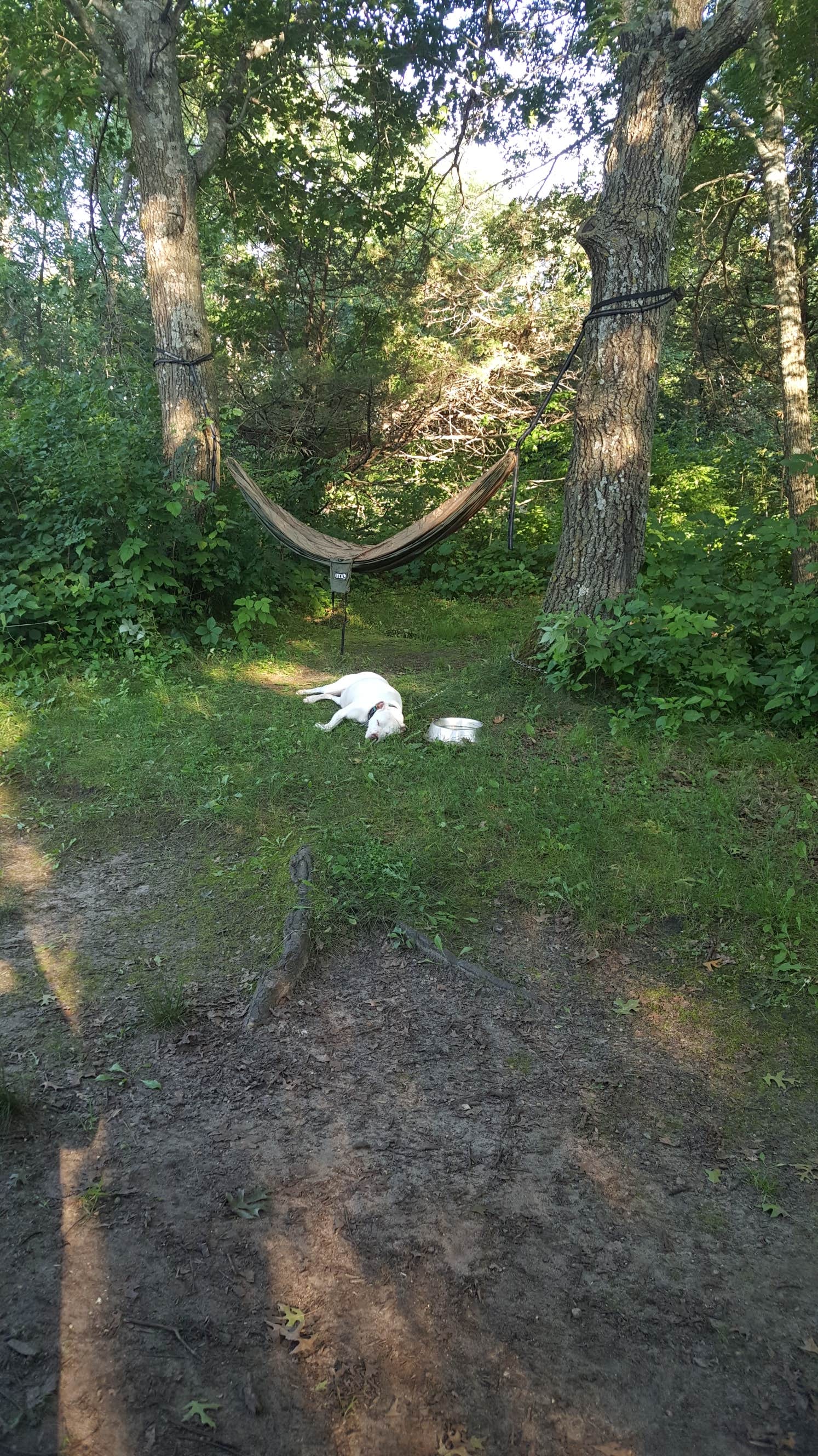 Camper submitted image from Oak Ridge Campground — Sibley State Park - 3