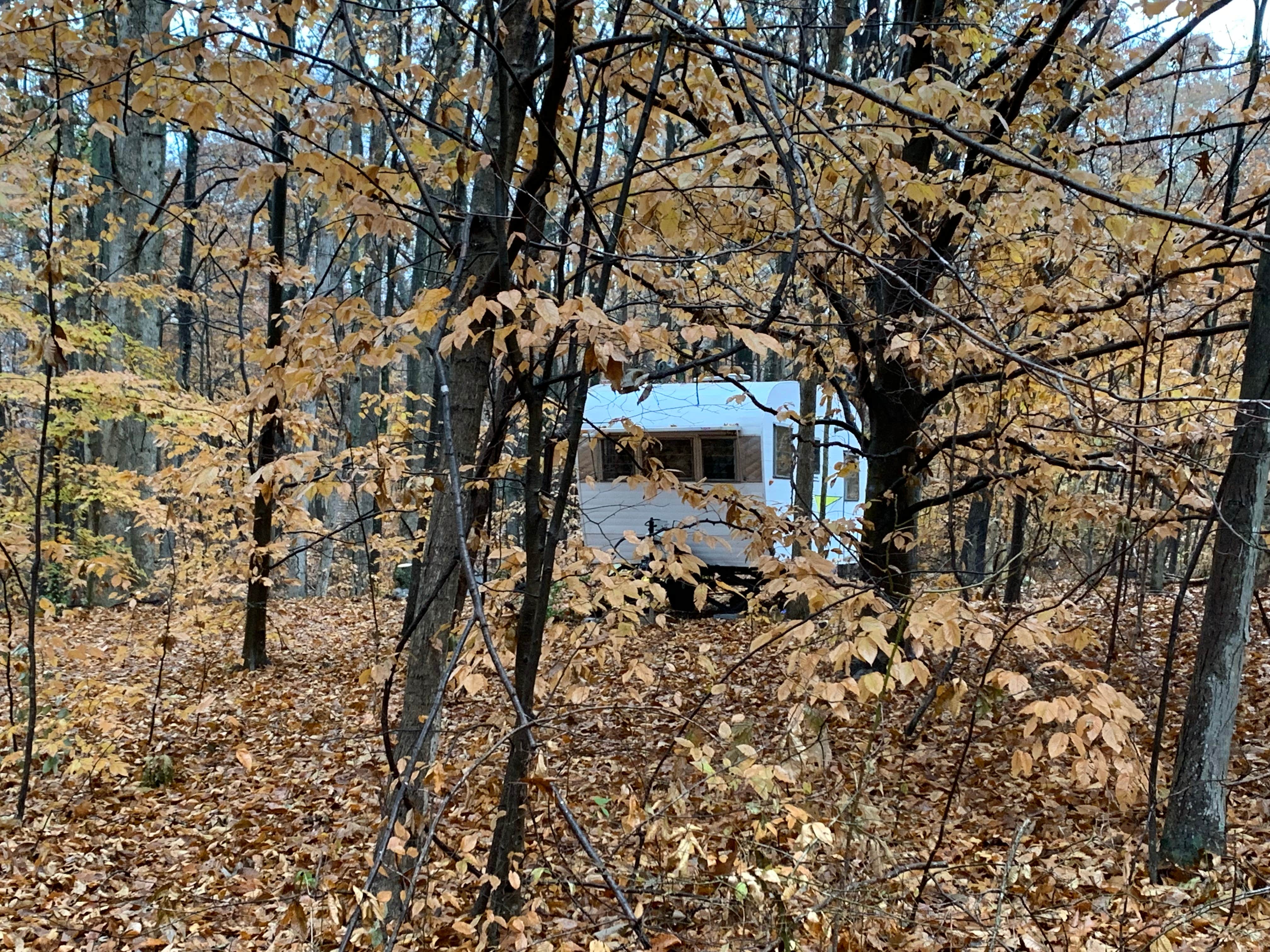 Camper submitted image from Vera's Vintage Campers - Temporarily CLOSED - 4