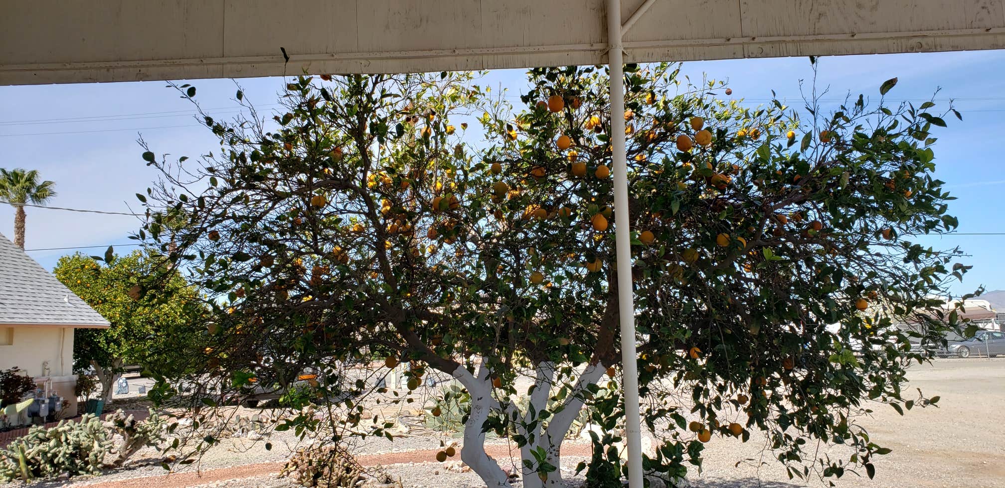 Camper-submitted photo at Salome KOA near Salome, AZ