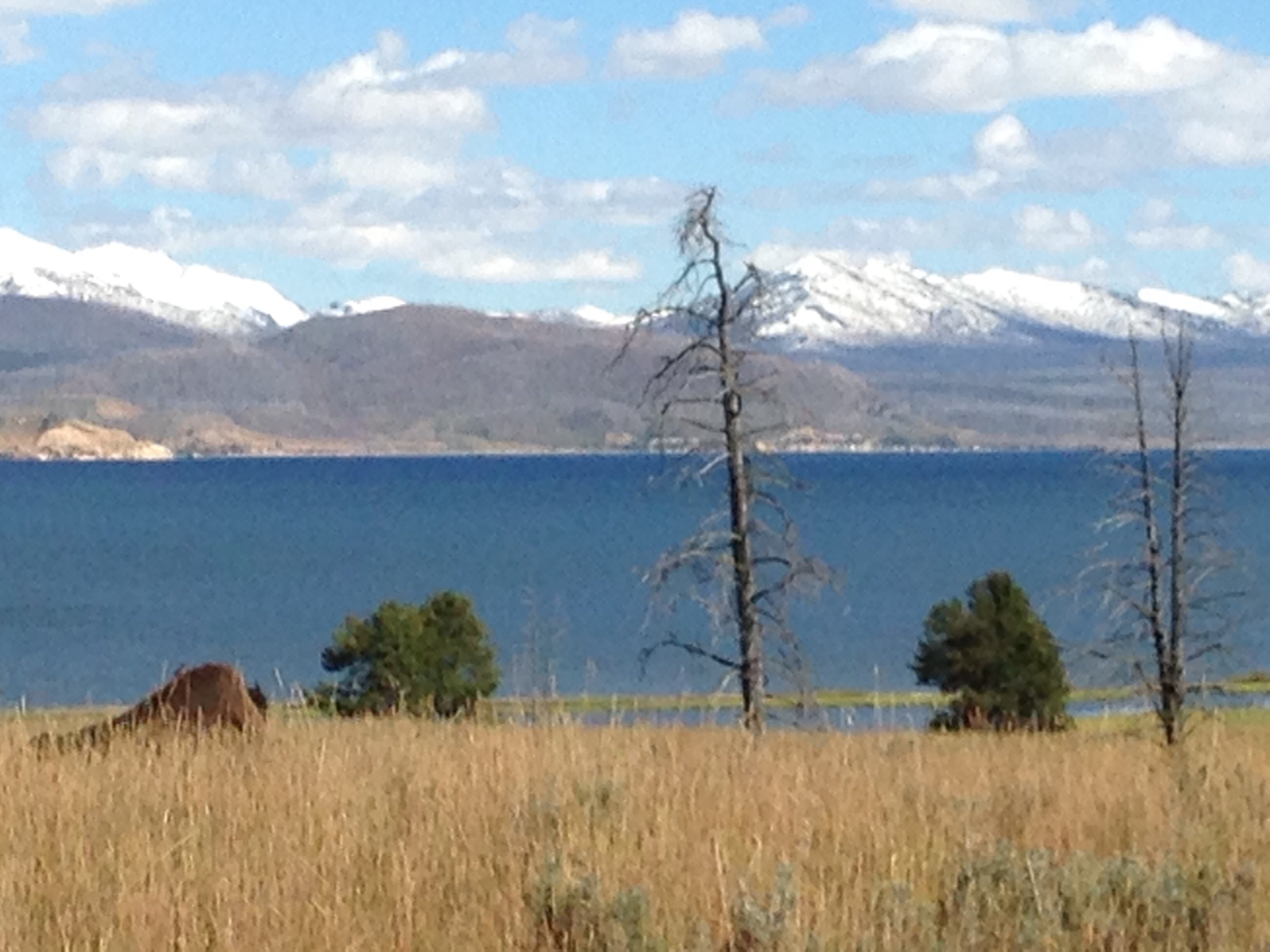 Camper submitted image from Lake Yellowstone Hotel and Cabins — Yellowstone National Park - 3